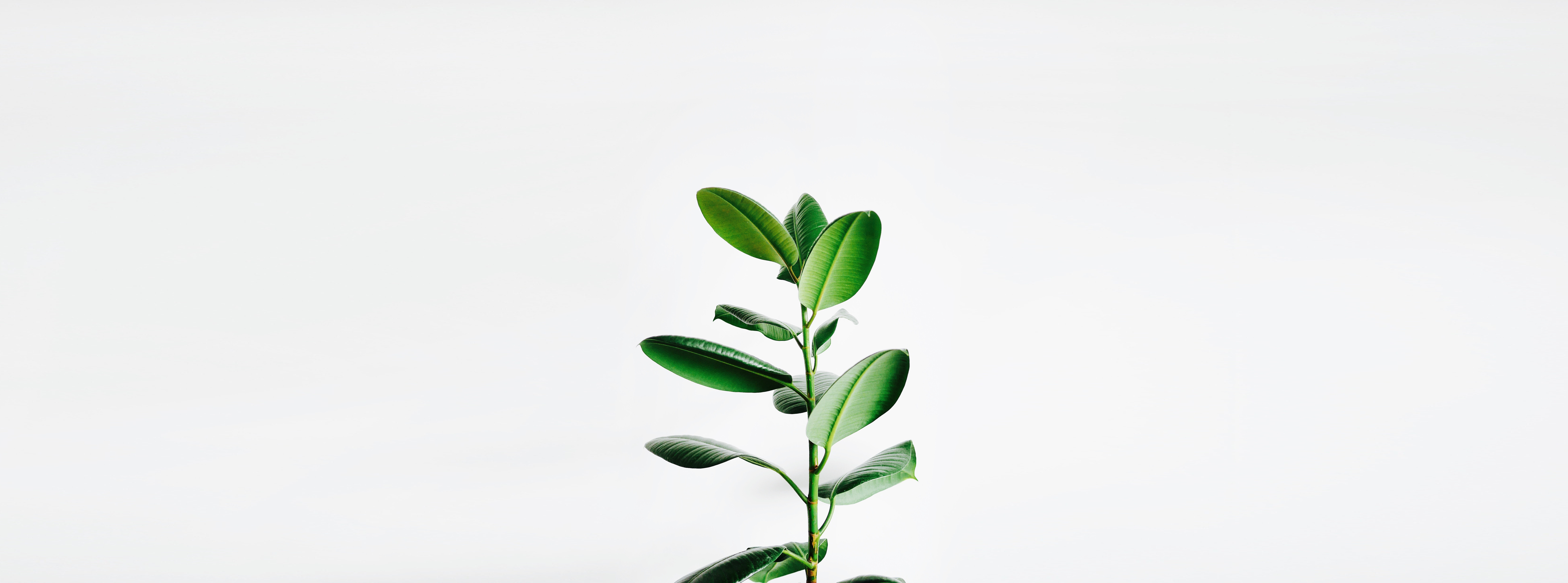 超自然設(shè)計的個人主頁（封面預(yù)覽） - 主頁封面設(shè)置 - 站酷設(shè)計師超自然設(shè)計原創(chuàng)素材 - 站酷ZCOOL