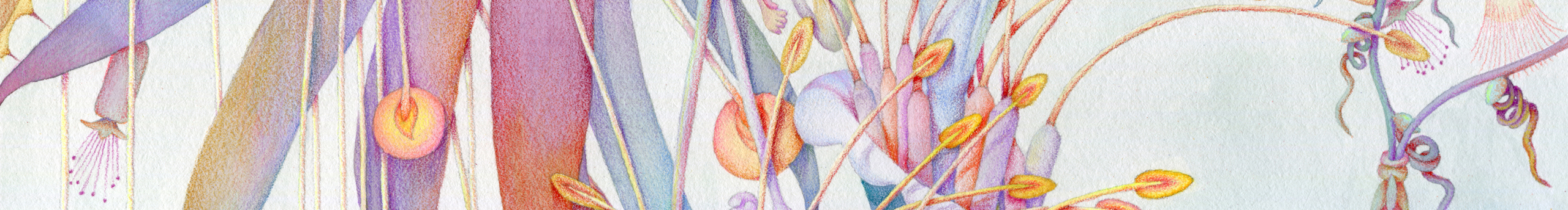 尚下_画画人的个人主页（封面预览） - 主页封面设置 - 站酷设计师尚下_画画人原创素材 - 站酷ZCOOL