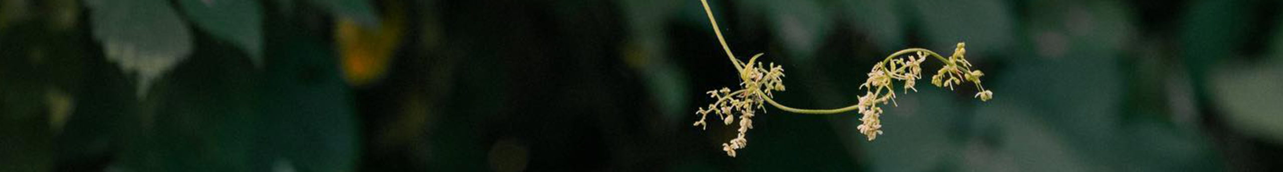 陌魚社區(qū)的個人主頁（封面預覽） - 主頁封面設置 - 站酷設計師陌魚社區(qū)原創(chuàng)素材 - 站酷ZCOOL