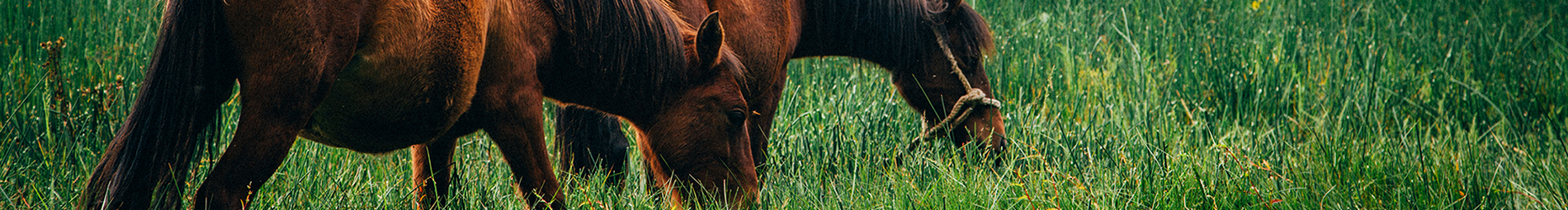 happy牛牛的個人主頁（封面預覽） - 主頁封面設置 - 站酷設計師happy牛牛原創(chuàng)素材 - 站酷ZCOOL