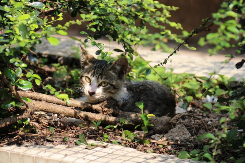 聆聽色彩的個(gè)人主頁（封面預(yù)覽） - 主頁封面設(shè)置 - 站酷設(shè)計(jì)師聆聽色彩原創(chuàng)素材 - 站酷ZCOOL