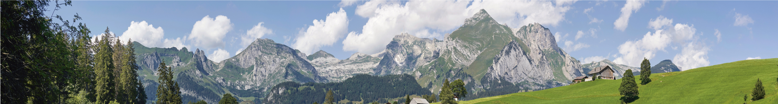 Yi昂楊的個(gè)人主頁(yè)（封面預(yù)覽） - 主頁(yè)封面設(shè)置 - 站酷設(shè)計(jì)師Yi昂楊原創(chuàng)素材 - 站酷ZCOOL