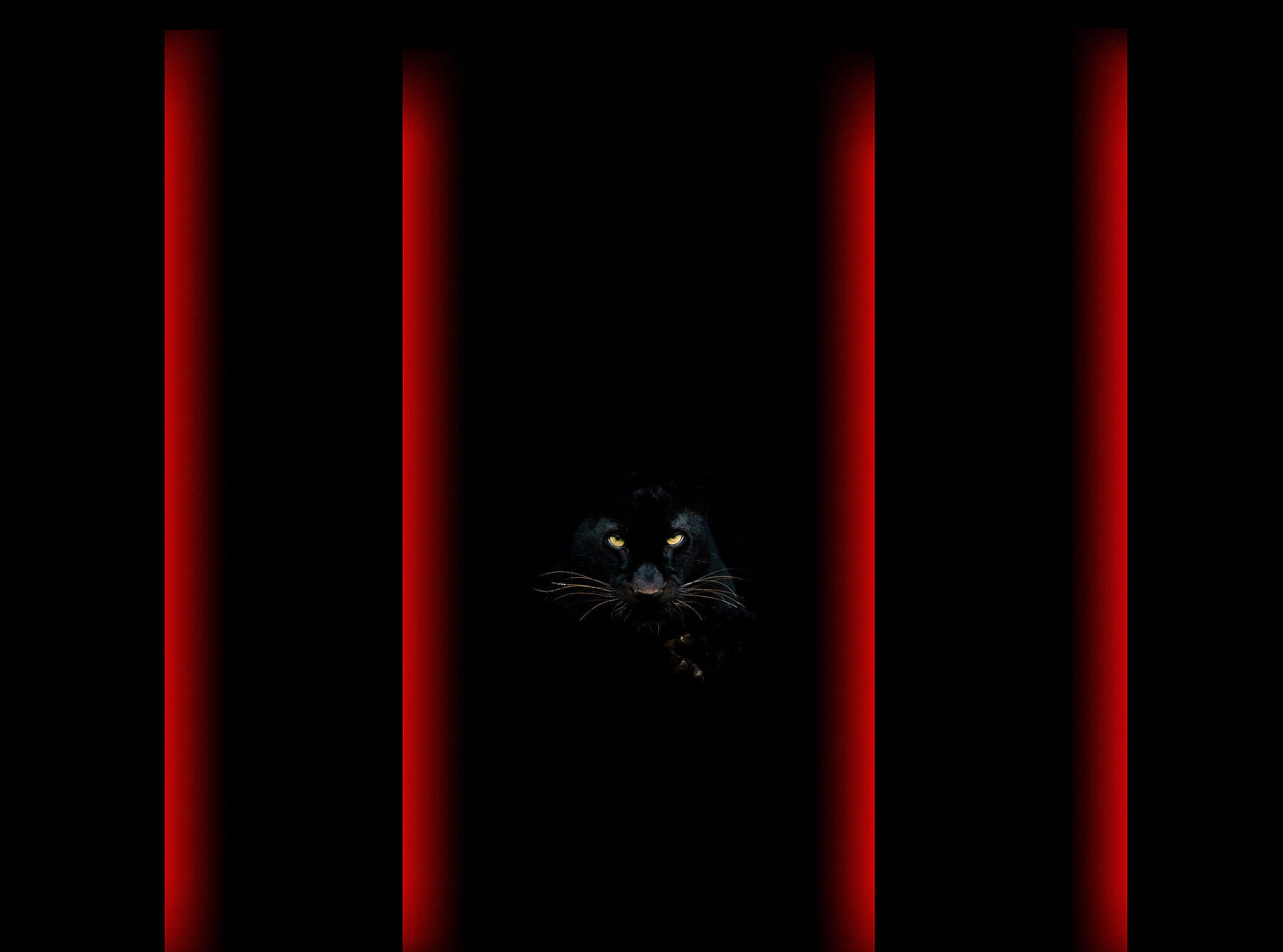 設(shè)計(jì)打爾文的個人主頁（封面預(yù)覽） - 主頁封面設(shè)置 - 站酷設(shè)計(jì)師設(shè)計(jì)打爾文原創(chuàng)素材 - 站酷ZCOOL