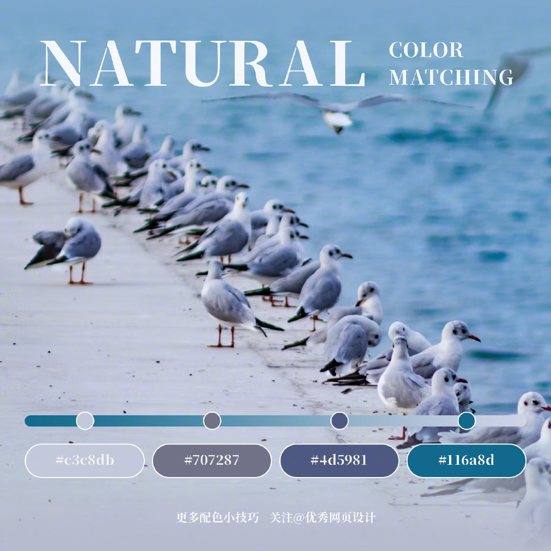 幸德瑞拉的个人主页（封面预览） - 主页封面设置 - 站酷设计师幸德瑞拉原创素材 - 站酷ZCOOL