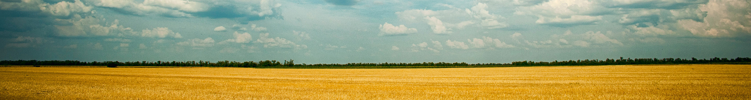 做設(shè)計(jì)的阿躍的個(gè)人主頁(yè)（封面預(yù)覽） - 主頁(yè)封面設(shè)置 - 站酷設(shè)計(jì)師做設(shè)計(jì)的阿躍原創(chuàng)素材 - 站酷ZCOOL