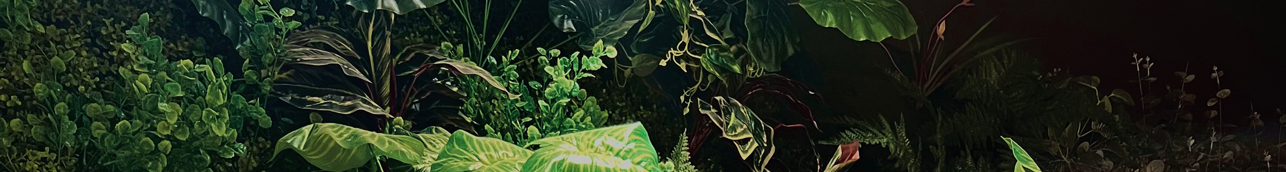 有毒的花茶的個人主頁（封面預(yù)覽） - 主頁封面設(shè)置 - 站酷設(shè)計師有毒的花茶原創(chuàng)素材 - 站酷ZCOOL