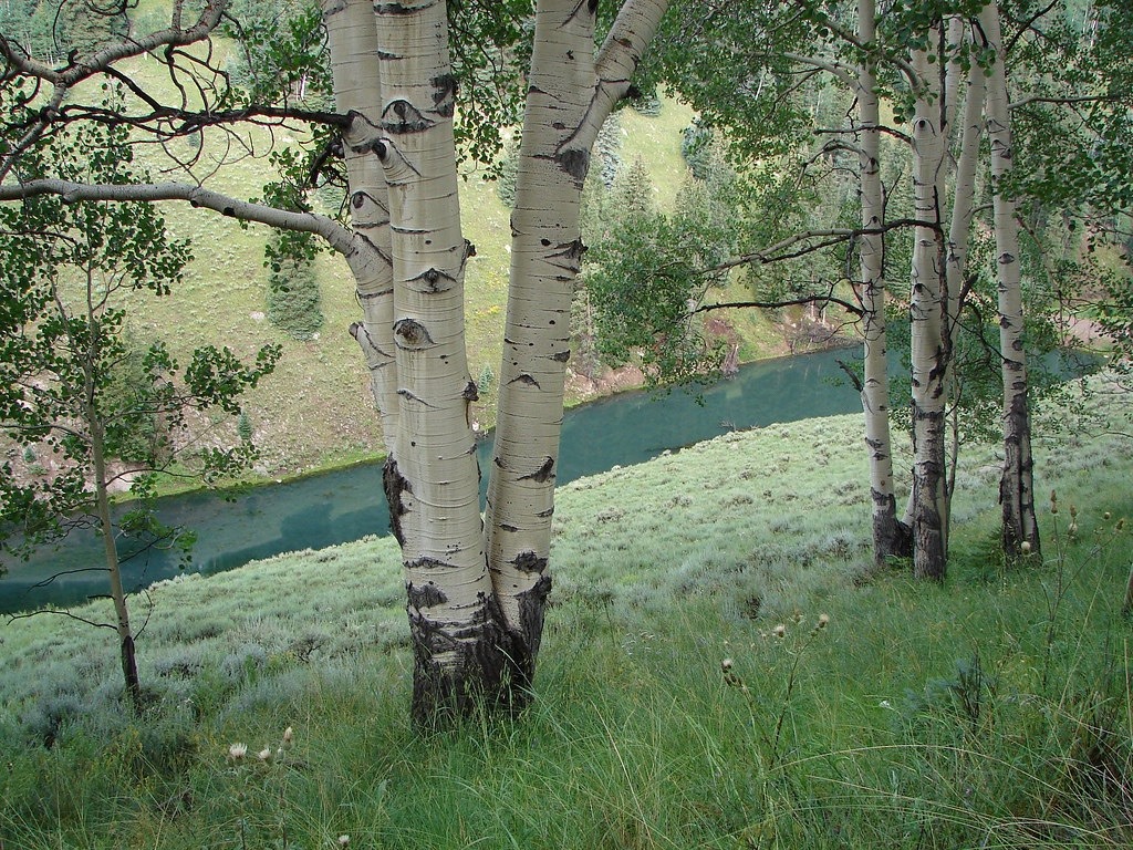 七葉樹的速寫本的個人主頁（封面預覽） - 主頁封面設(shè)置 - 站酷設(shè)計師七葉樹的速寫本原創(chuàng)素材 - 站酷ZCOOL