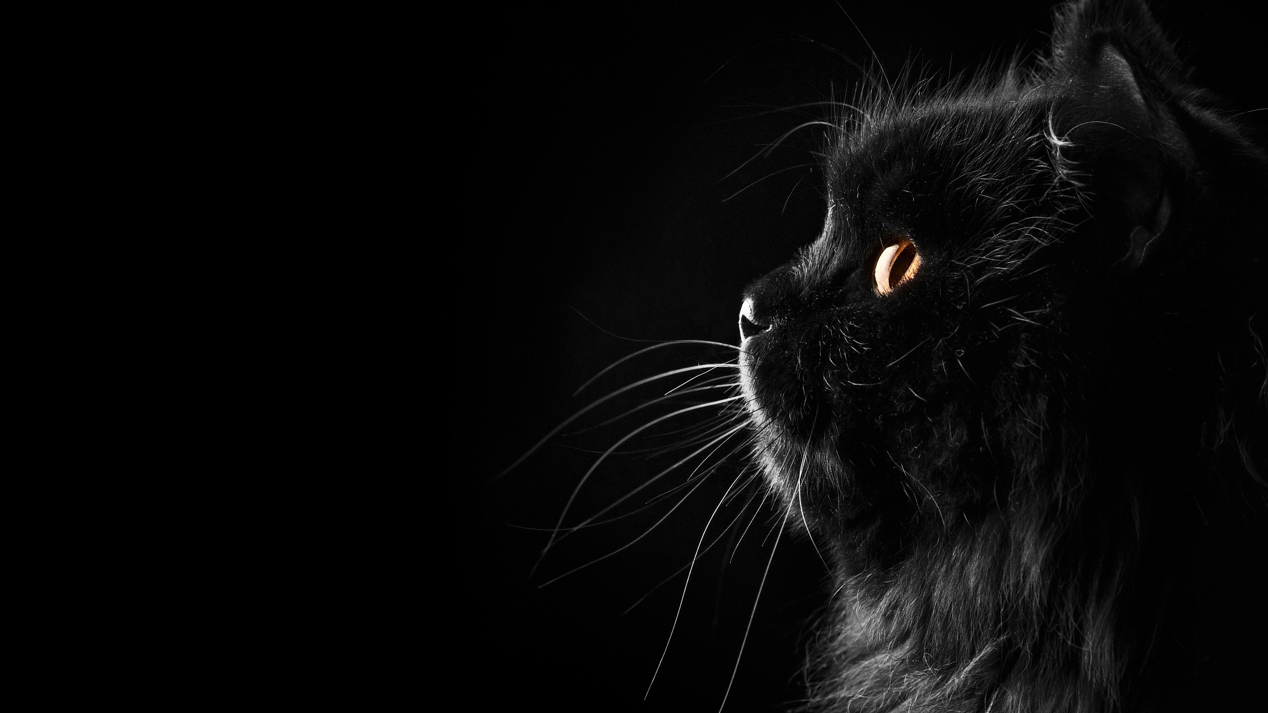 不吃芒果H的個人主頁（封面預覽） - 主頁封面設(shè)置 - 站酷設(shè)計師不吃芒果H原創(chuàng)素材 - 站酷ZCOOL