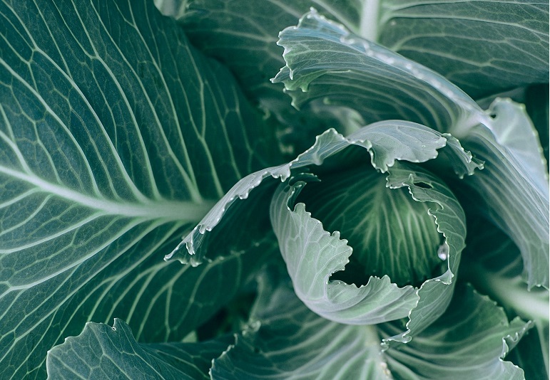 FeHoo的个人主页（封面预览） - 主页封面设置 - 站酷设计师FeHoo原创素材 - 站酷ZCOOL