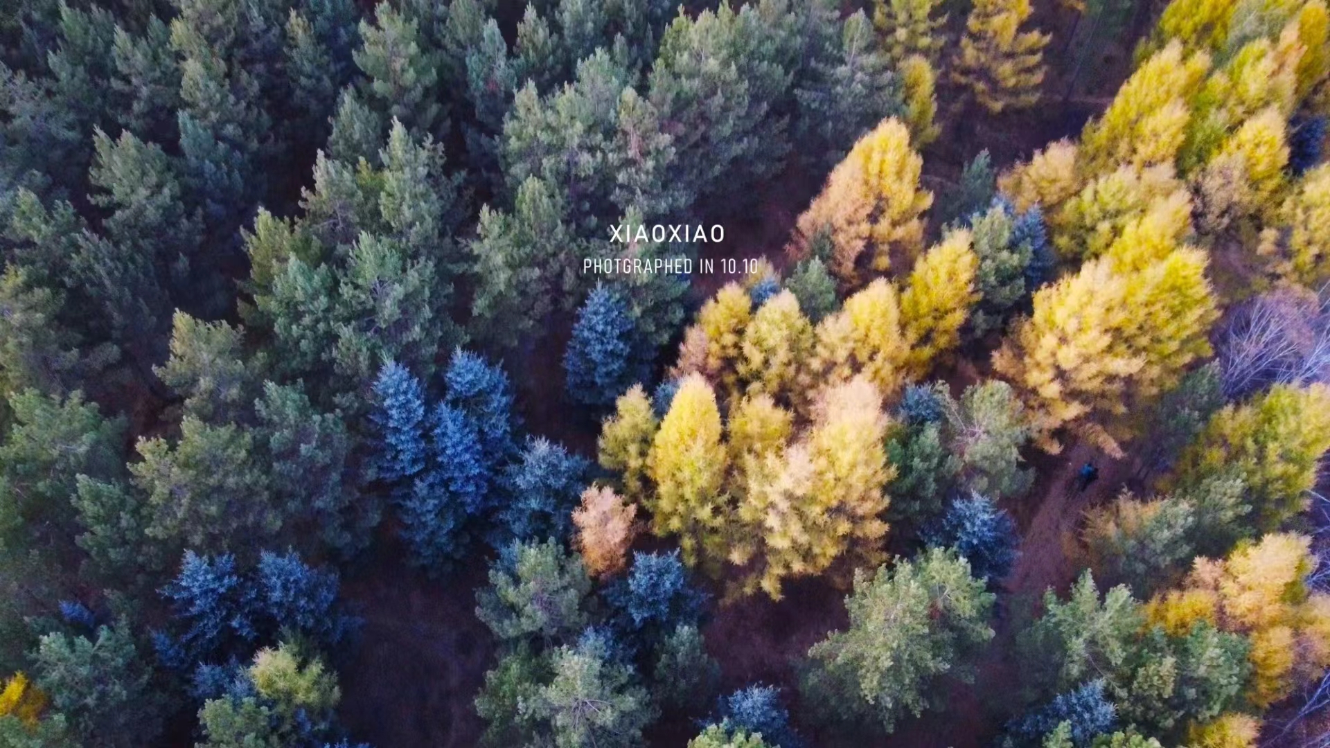 xiaoxiaoh81的個(gè)人主頁（封面預(yù)覽） - 主頁封面設(shè)置 - 站酷設(shè)計(jì)師xiaoxiaoh81原創(chuàng)素材 - 站酷ZCOOL