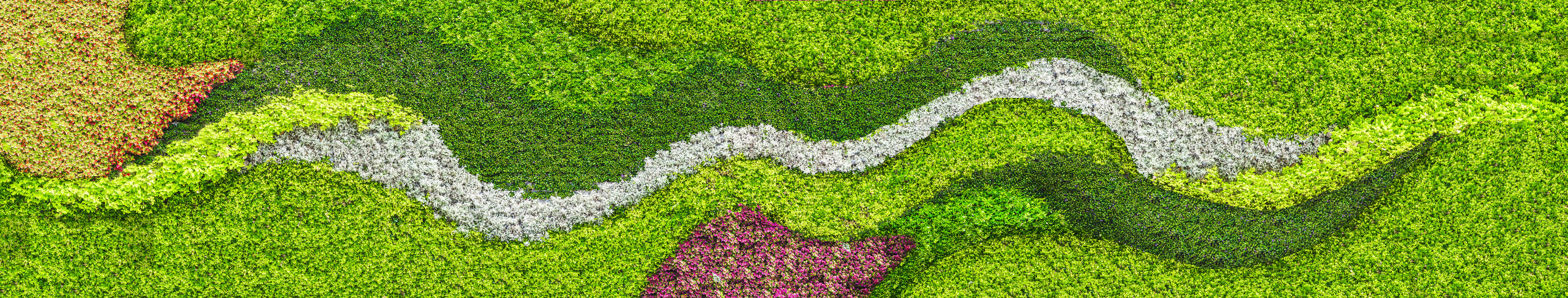 一只懒洋洋的个人主页（封面预览） - 主页封面设置 - 站酷设计师一只懒洋洋原创素材 - 站酷ZCOOL