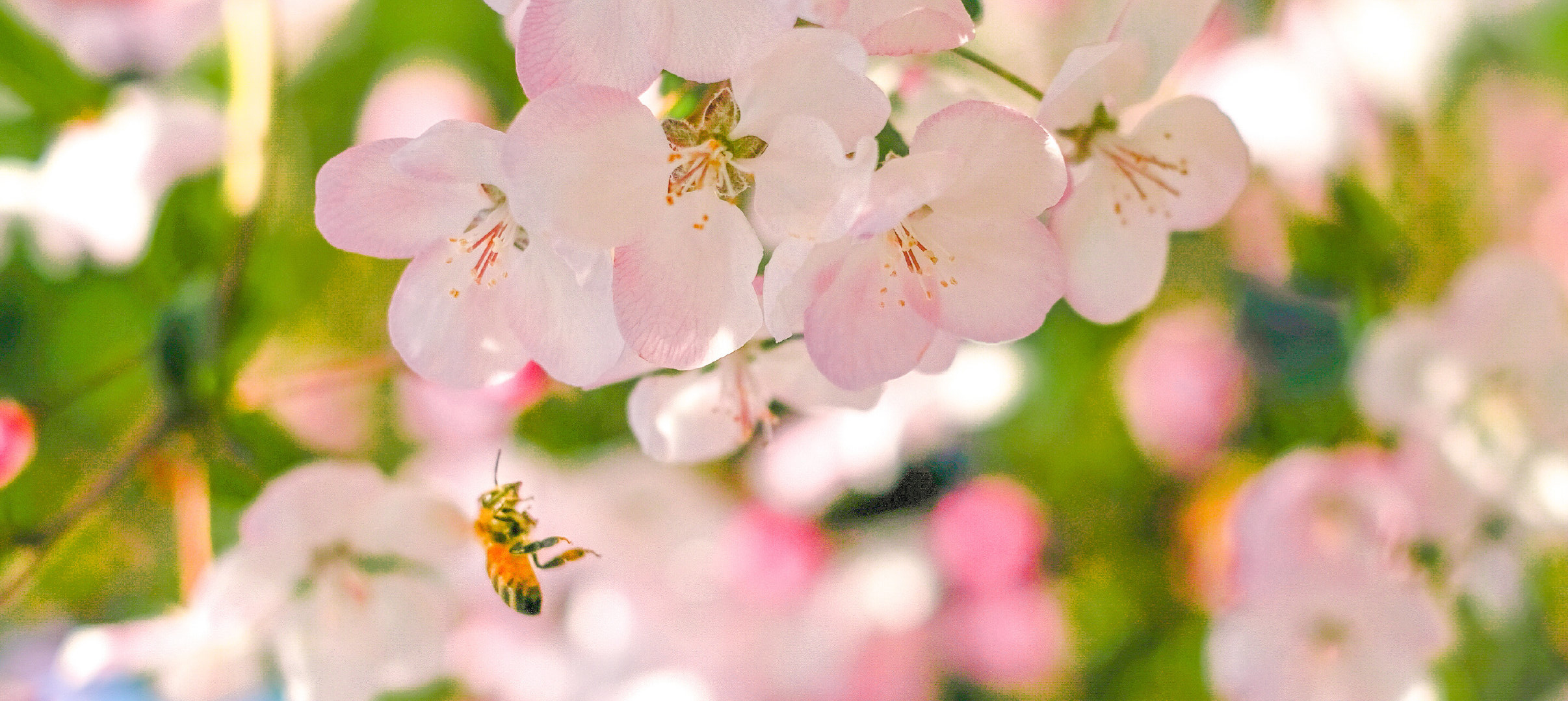 LZhenen的個人主頁（封面預(yù)覽） - 主頁封面設(shè)置 - 站酷設(shè)計師LZhenen原創(chuàng)素材 - 站酷ZCOOL
