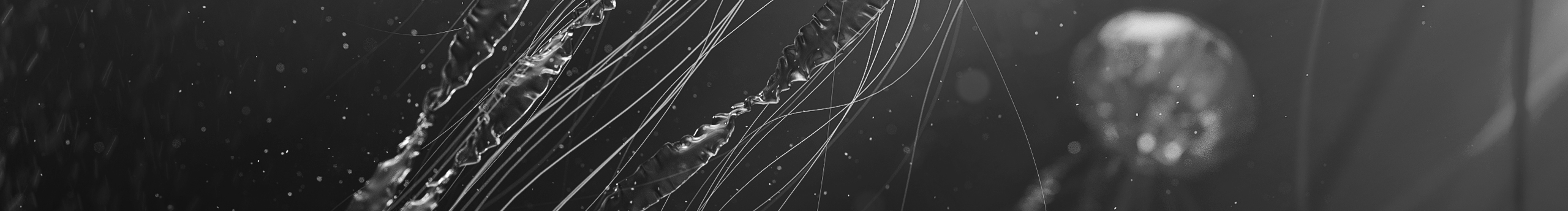 有夢嚼著炫邁去追的個人主頁（封面預(yù)覽） - 主頁封面設(shè)置 - 站酷設(shè)計師有夢嚼著炫邁去追原創(chuàng)素材 - 站酷ZCOOL