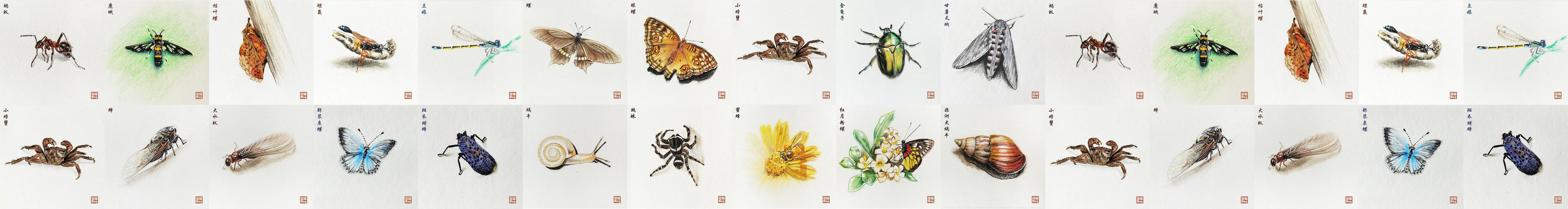 蘑菇Mog的個人主頁（封面預(yù)覽） - 主頁封面設(shè)置 - 站酷設(shè)計師蘑菇Mog原創(chuàng)素材 - 站酷ZCOOL