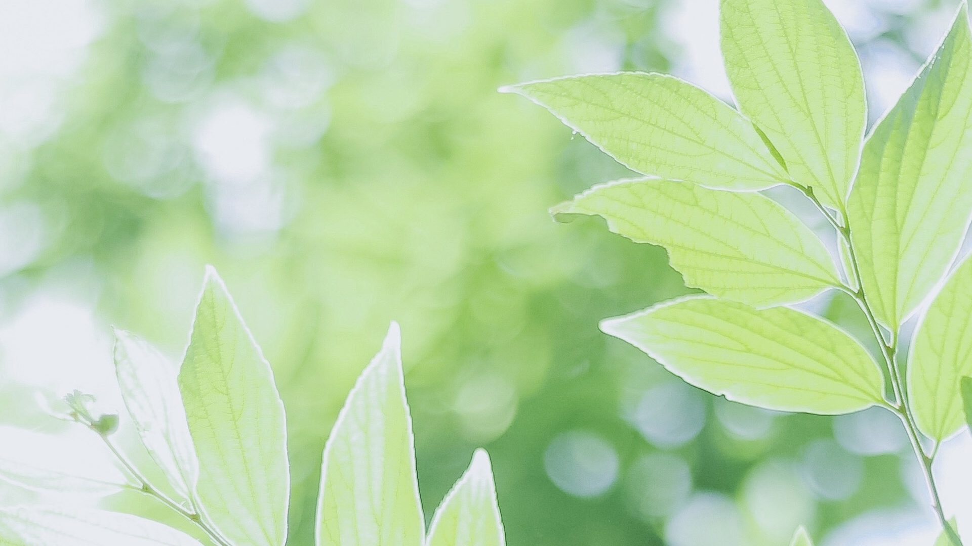 南風(fēng)邊的小葡萄的個人主頁（封面預(yù)覽） - 主頁封面設(shè)置 - 站酷設(shè)計師南風(fēng)邊的小葡萄原創(chuàng)素材 - 站酷ZCOOL