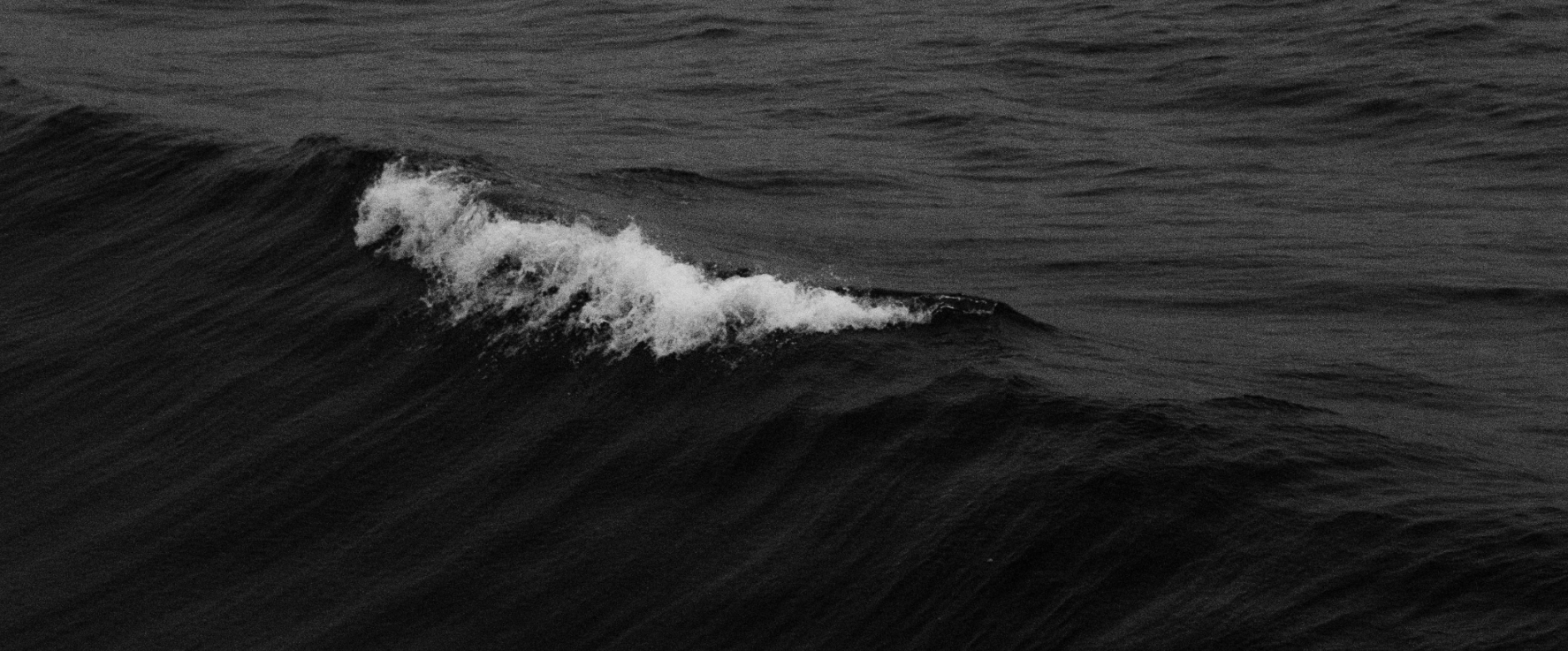 TediousOddity的个人主页（封面预览） - 主页封面设置 - 站酷设计师TediousOddity原创素材 - 站酷ZCOOL