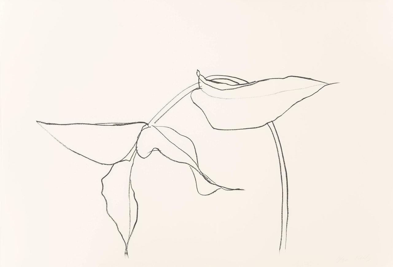 白小树的个人主页（封面预览） - 主页封面设置 - 站酷设计师白小树原创素材 - 站酷ZCOOL