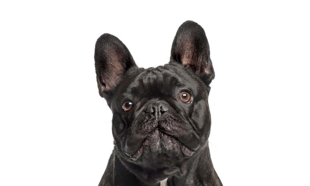 我真的不会做设计的个人主页（封面预览） - 主页封面设置 - 站酷设计师我真的不会做设计原创素材 - 站酷ZCOOL