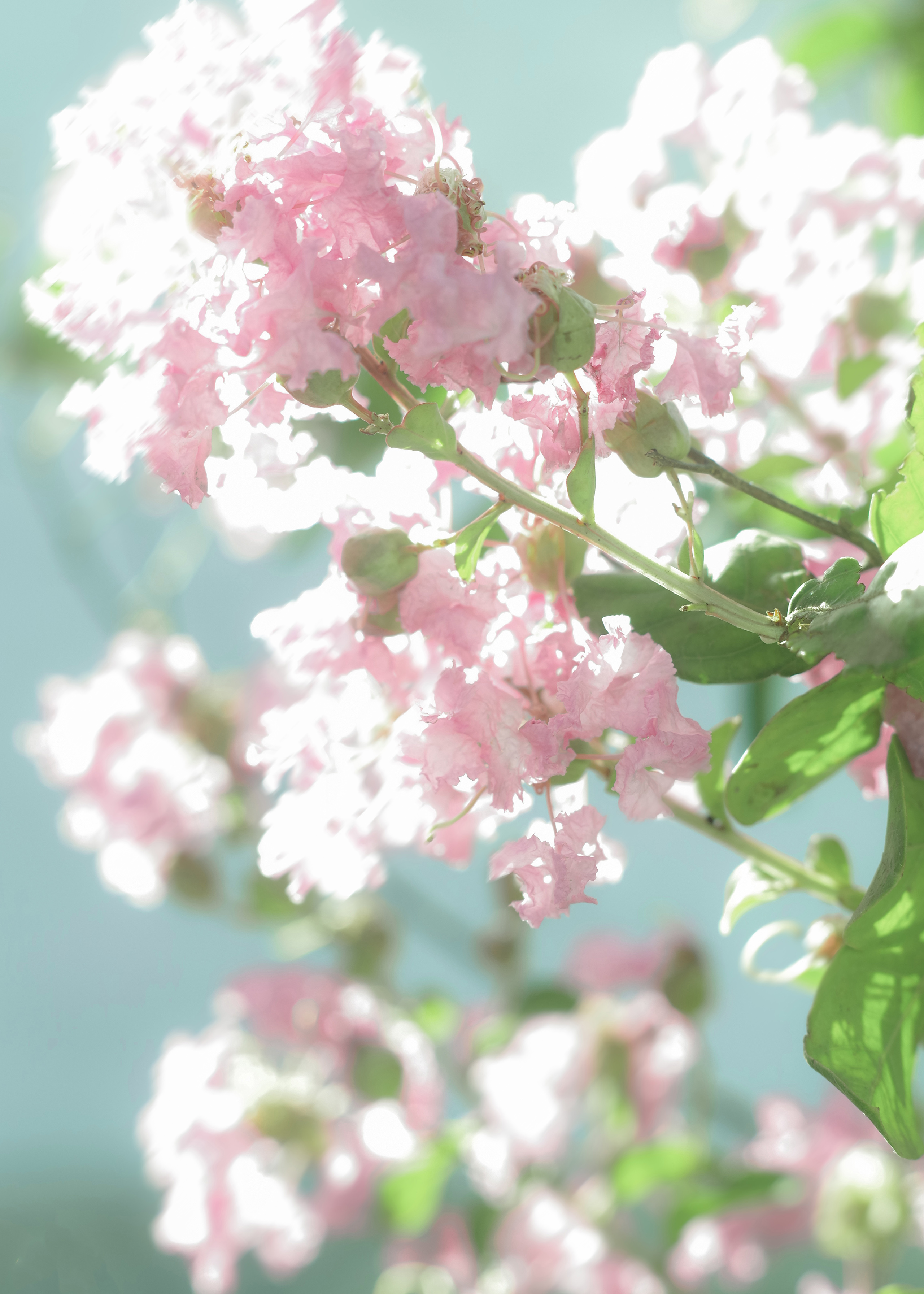 金渺今的个人主页（封面预览） - 主页封面设置 - 站酷设计师金渺今原创素材 - 站酷ZCOOL