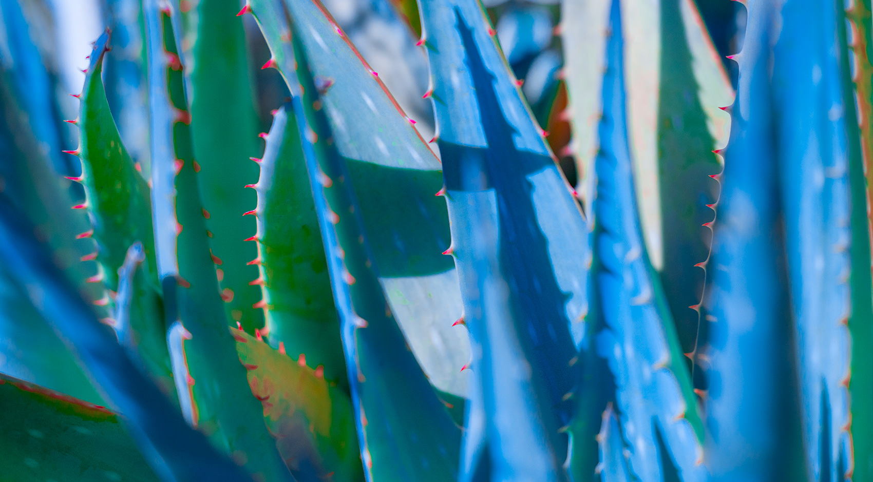 Oddd的個(gè)人主頁(yè)（封面預(yù)覽） - 主頁(yè)封面設(shè)置 - 站酷設(shè)計(jì)師Oddd原創(chuàng)素材 - 站酷ZCOOL