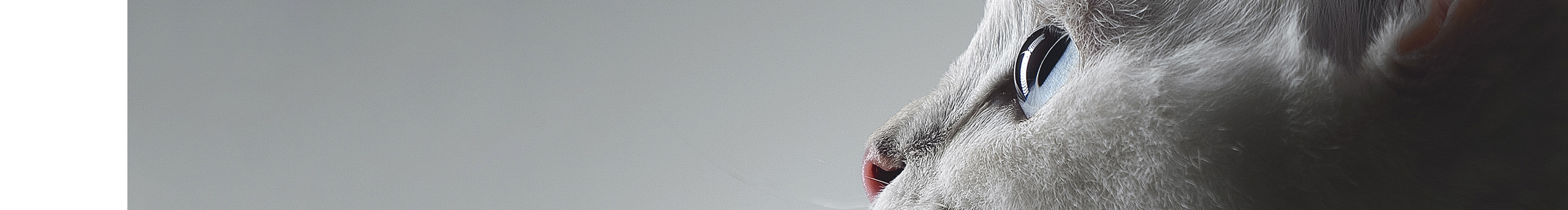 小趙Design的個人主頁（封面預(yù)覽） - 主頁封面設(shè)置 - 站酷設(shè)計師小趙Design原創(chuàng)素材 - 站酷ZCOOL