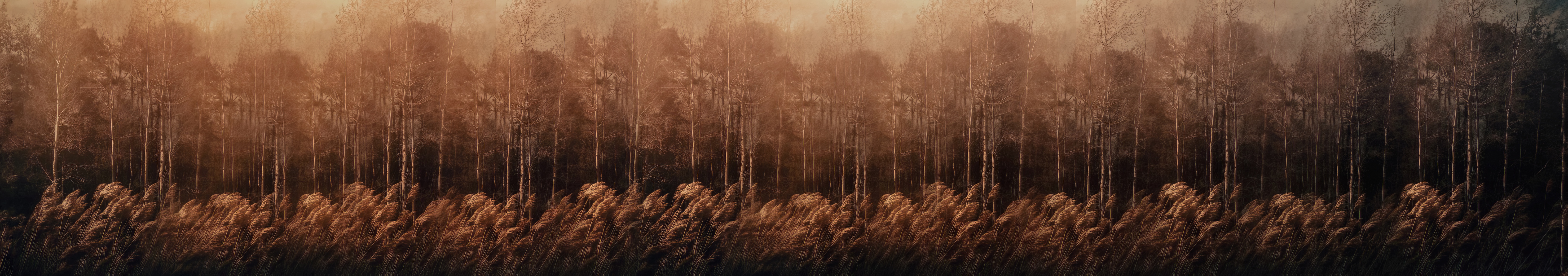 3lliegong的個人主頁（封面預(yù)覽） - 主頁封面設(shè)置 - 站酷設(shè)計師3lliegong原創(chuàng)素材 - 站酷ZCOOL