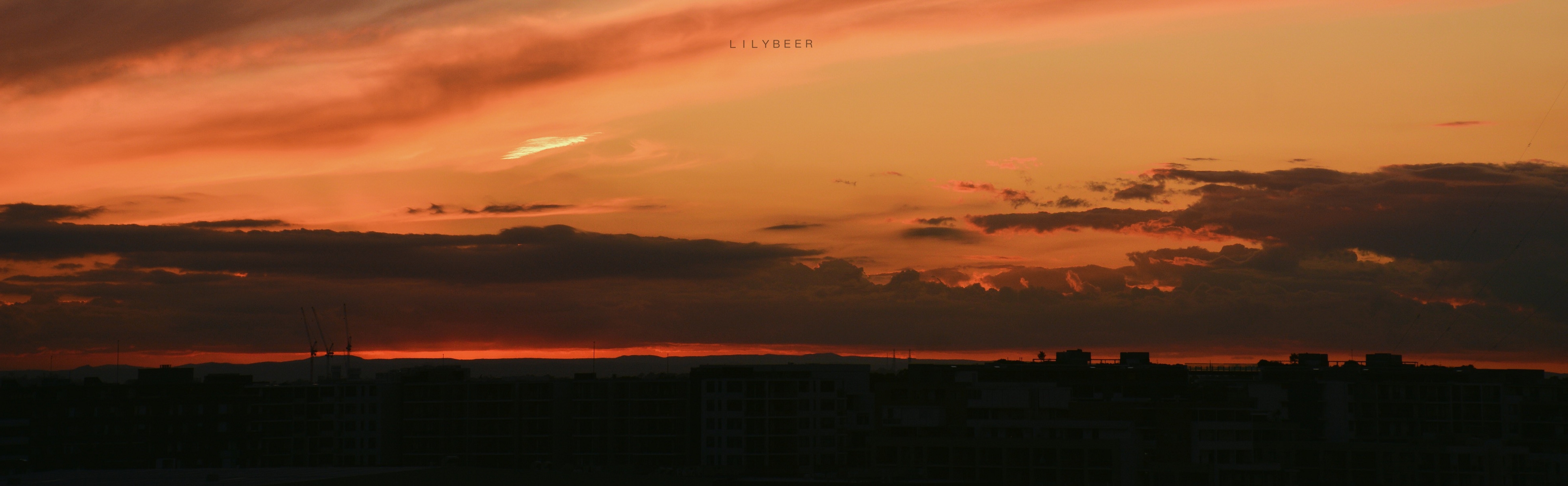 陈傻狗儿的个人主页（封面预览） - 主页封面设置 - 站酷设计师陈傻狗儿原创素材 - 站酷ZCOOL