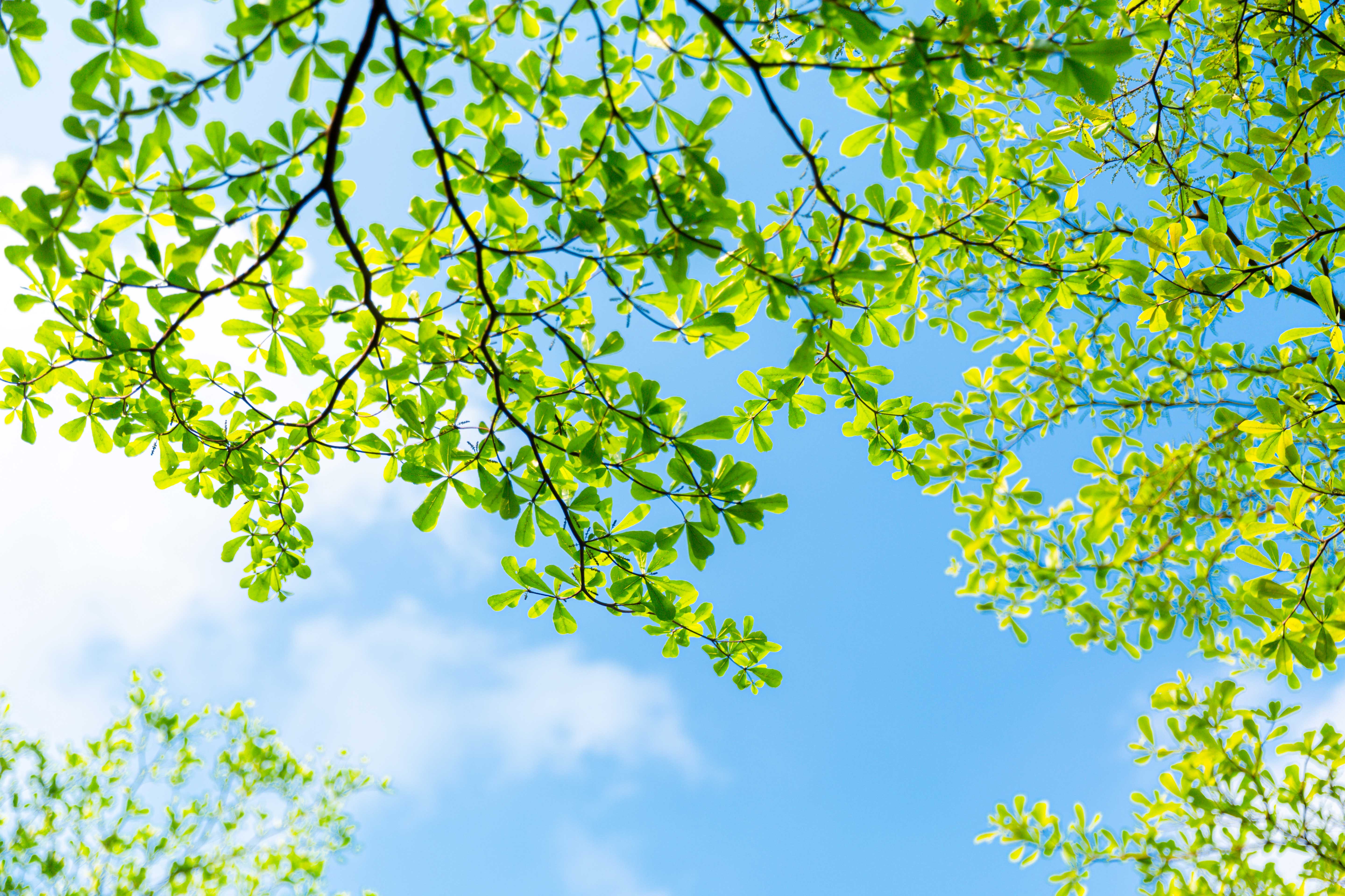 倔强金牛的个人主页（封面预览） - 主页封面设置 - 站酷设计师倔强金牛原创素材 - 站酷ZCOOL