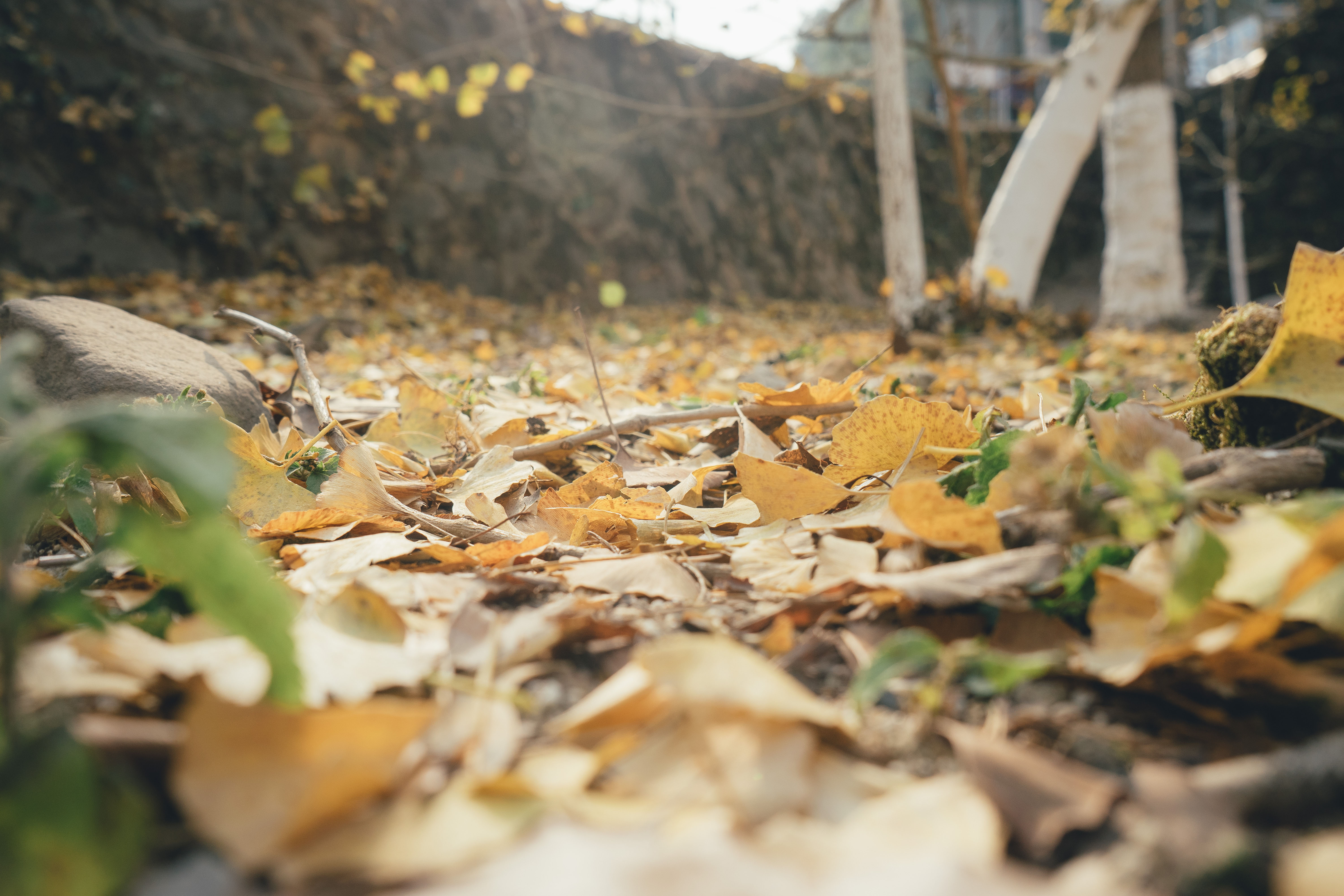 Whitney949的個(gè)人主頁(yè)（封面預(yù)覽） - 主頁(yè)封面設(shè)置 - 站酷設(shè)計(jì)師Whitney949原創(chuàng)素材 - 站酷ZCOOL