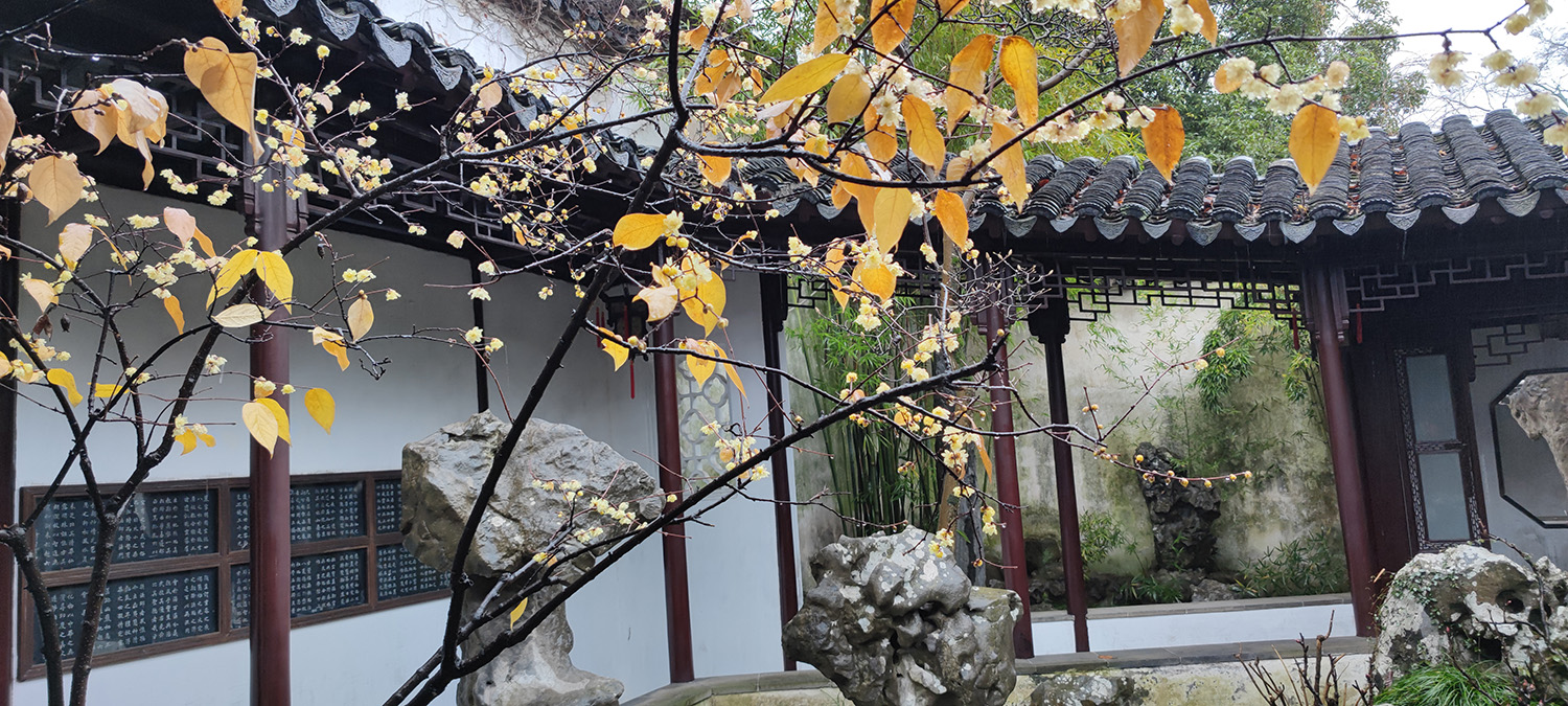 祥途舍的个人主页（封面预览） - 主页封面设置 - 站酷设计师祥途舍原创素材 - 站酷ZCOOL