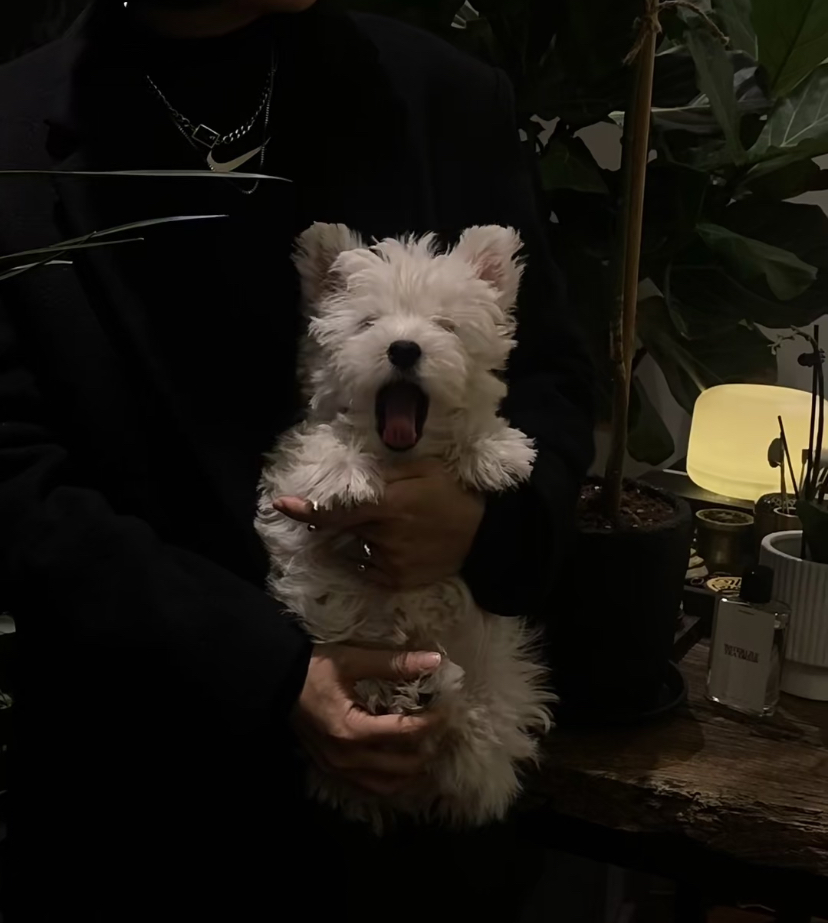 魚魚不睡的個人主頁（封面預覽） - 主頁封面設置 - 站酷設計師魚魚不睡原創(chuàng)素材 - 站酷ZCOOL