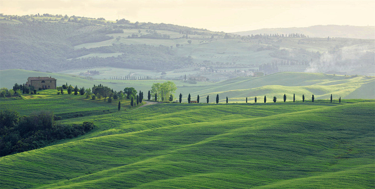 诗艺ya的个人主页（封面预览） - 主页封面设置 - 站酷设计师诗艺ya原创素材 - 站酷ZCOOL