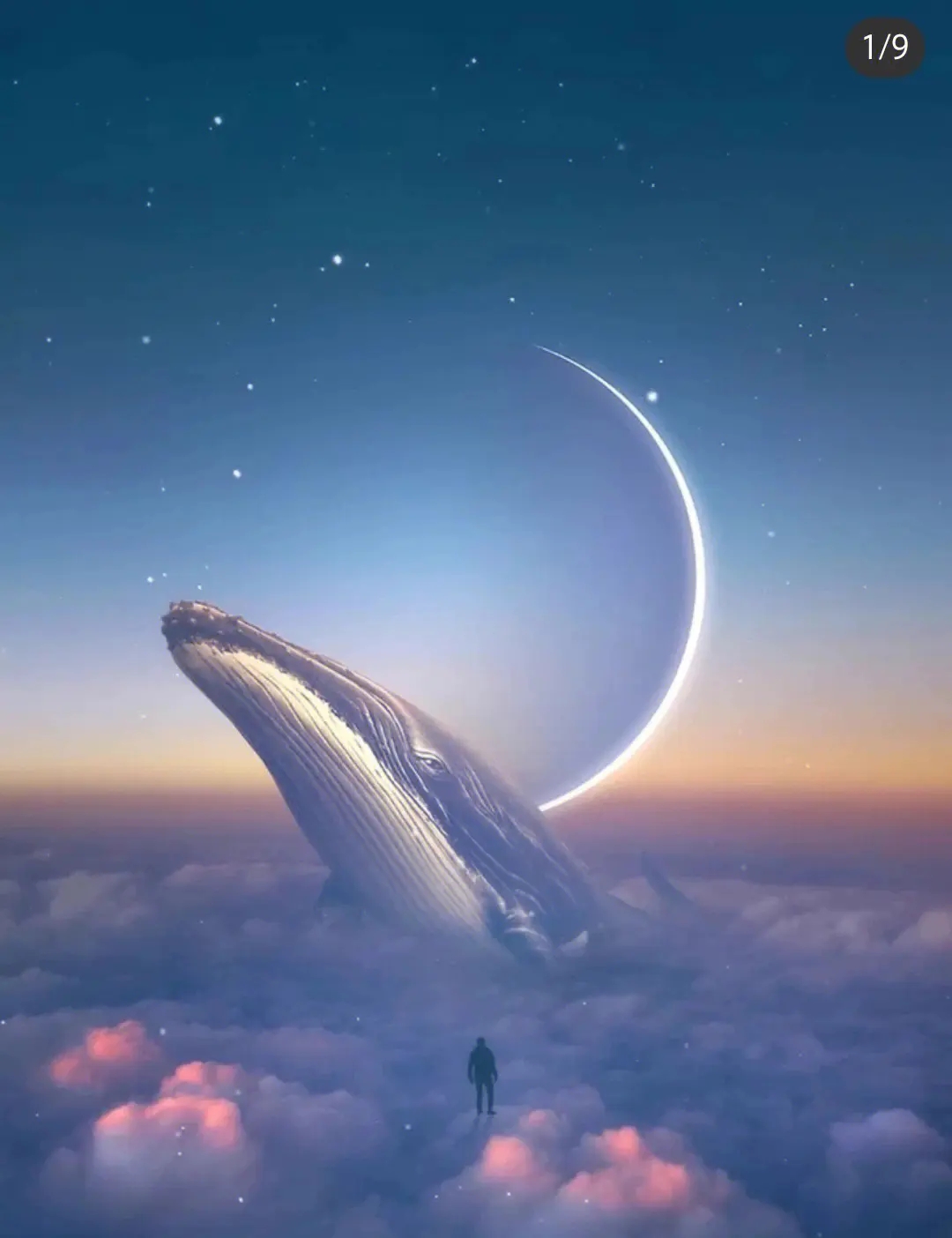 爆米花卷的个人主页（封面预览） - 主页封面设置 - 站酷设计师爆米花卷原创素材 - 站酷ZCOOL