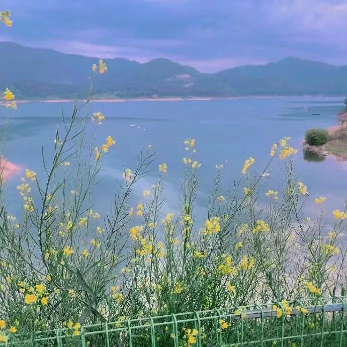 Candy橙柒的个人主页（封面预览） - 主页封面设置 - 站酷设计师Candy橙柒原创素材 - 站酷ZCOOL