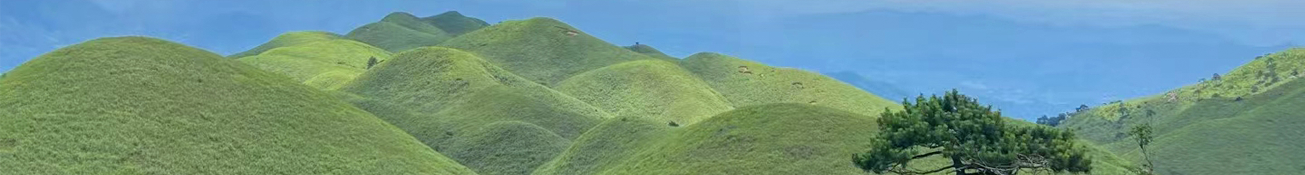 意念之間的個人主頁（封面預覽） - 主頁封面設置 - 站酷設計師意念之間原創(chuàng)素材 - 站酷ZCOOL