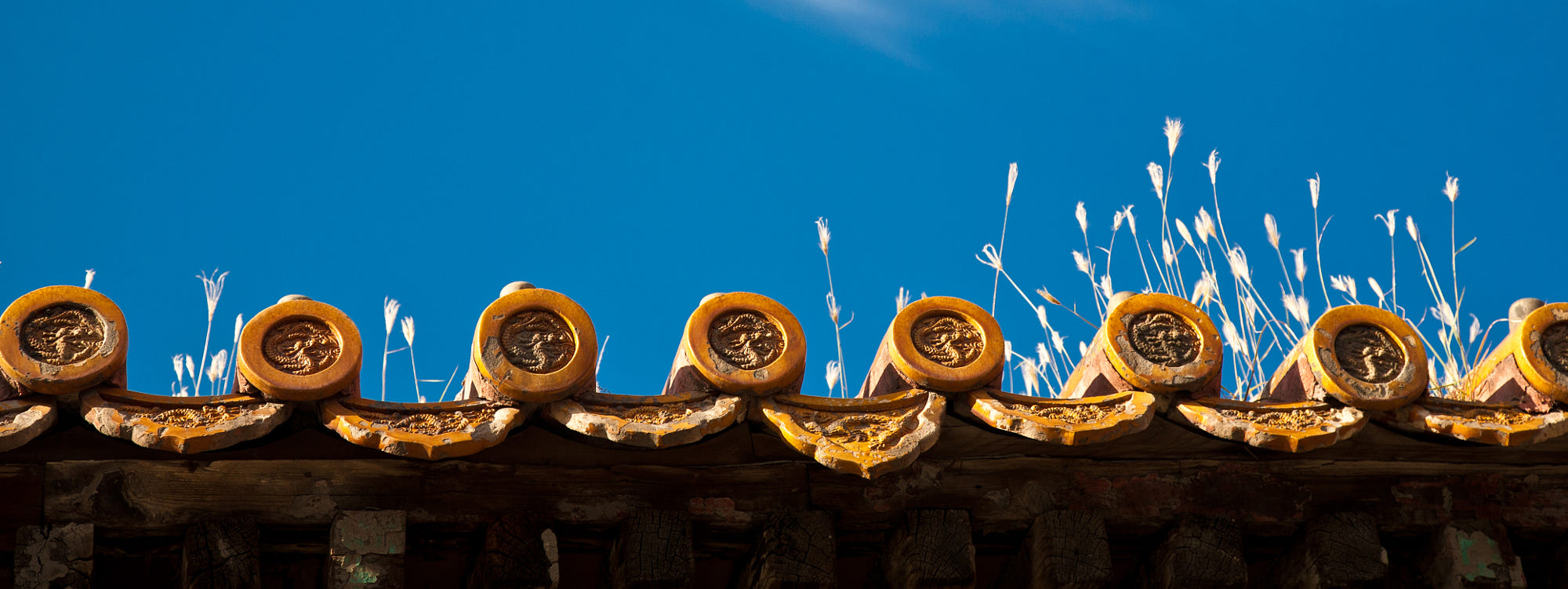 楊阿的個(gè)人主頁(yè)（封面預(yù)覽） - 主頁(yè)封面設(shè)置 - 站酷設(shè)計(jì)師楊阿原創(chuàng)素材 - 站酷ZCOOL