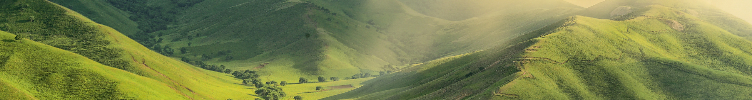 腐朽君的個人主頁（封面預覽） - 主頁封面設置 - 站酷設計師腐朽君原創(chuàng)素材 - 站酷ZCOOL