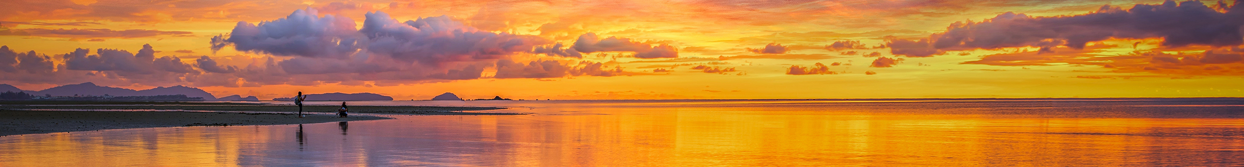 设计师Wendy的个人主页（封面预览） - 主页封面设置 - 站酷设计师设计师Wendy原创素材 - 站酷ZCOOL