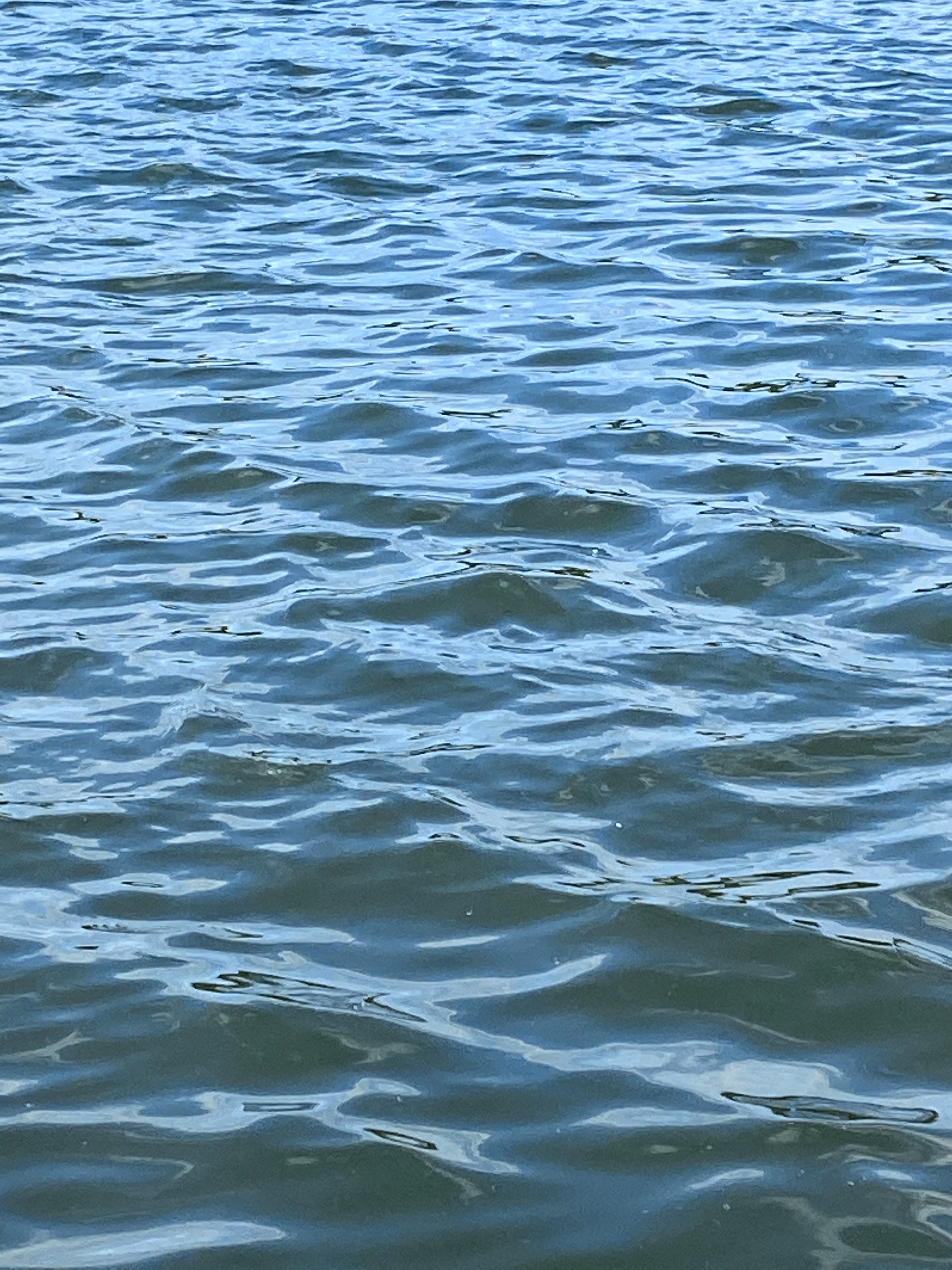 煲到了嗎的個(gè)人主頁(yè)（封面預(yù)覽） - 主頁(yè)封面設(shè)置 - 站酷設(shè)計(jì)師煲到了嗎原創(chuàng)素材 - 站酷ZCOOL