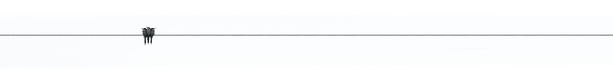 见见行行的个人主页（封面预览） - 主页封面设置 - 站酷设计师见见行行原创素材 - 站酷ZCOOL