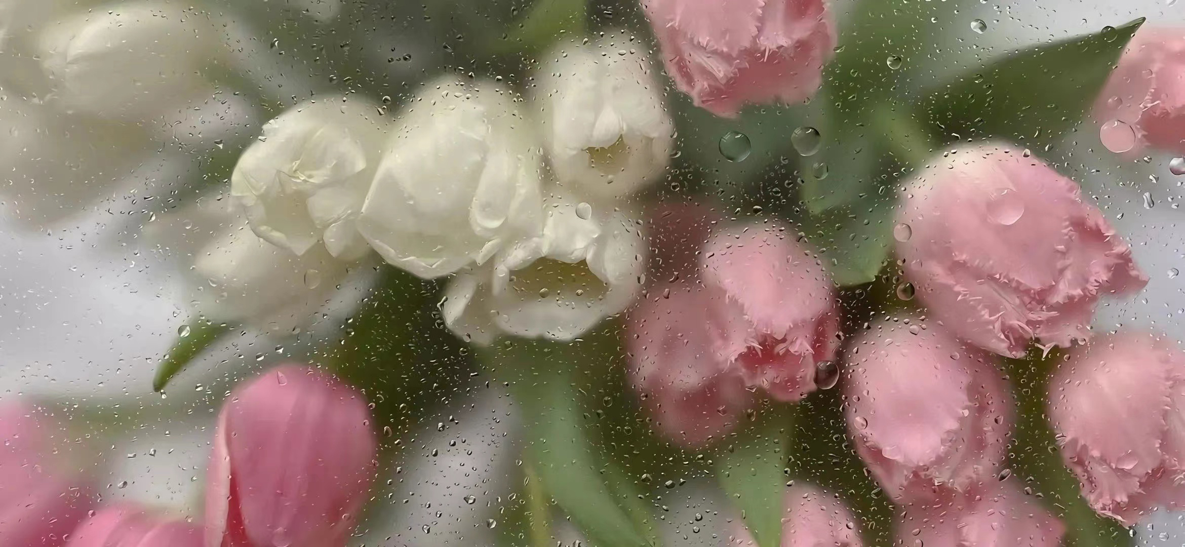 是Perfy呀的个人主页（封面预览） - 主页封面设置 - 站酷设计师是Perfy呀原创素材 - 站酷ZCOOL