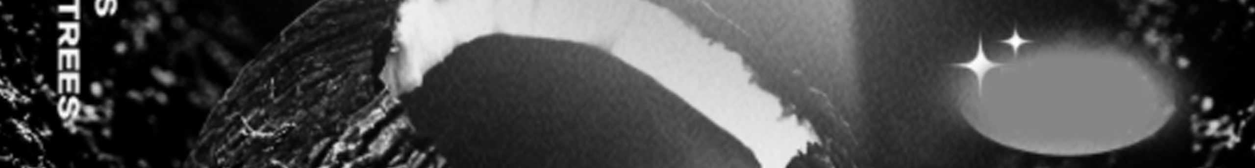 Hackermaster的個(gè)人主頁（封面預(yù)覽） - 主頁封面設(shè)置 - 站酷設(shè)計(jì)師Hackermaster原創(chuàng)素材 - 站酷ZCOOL