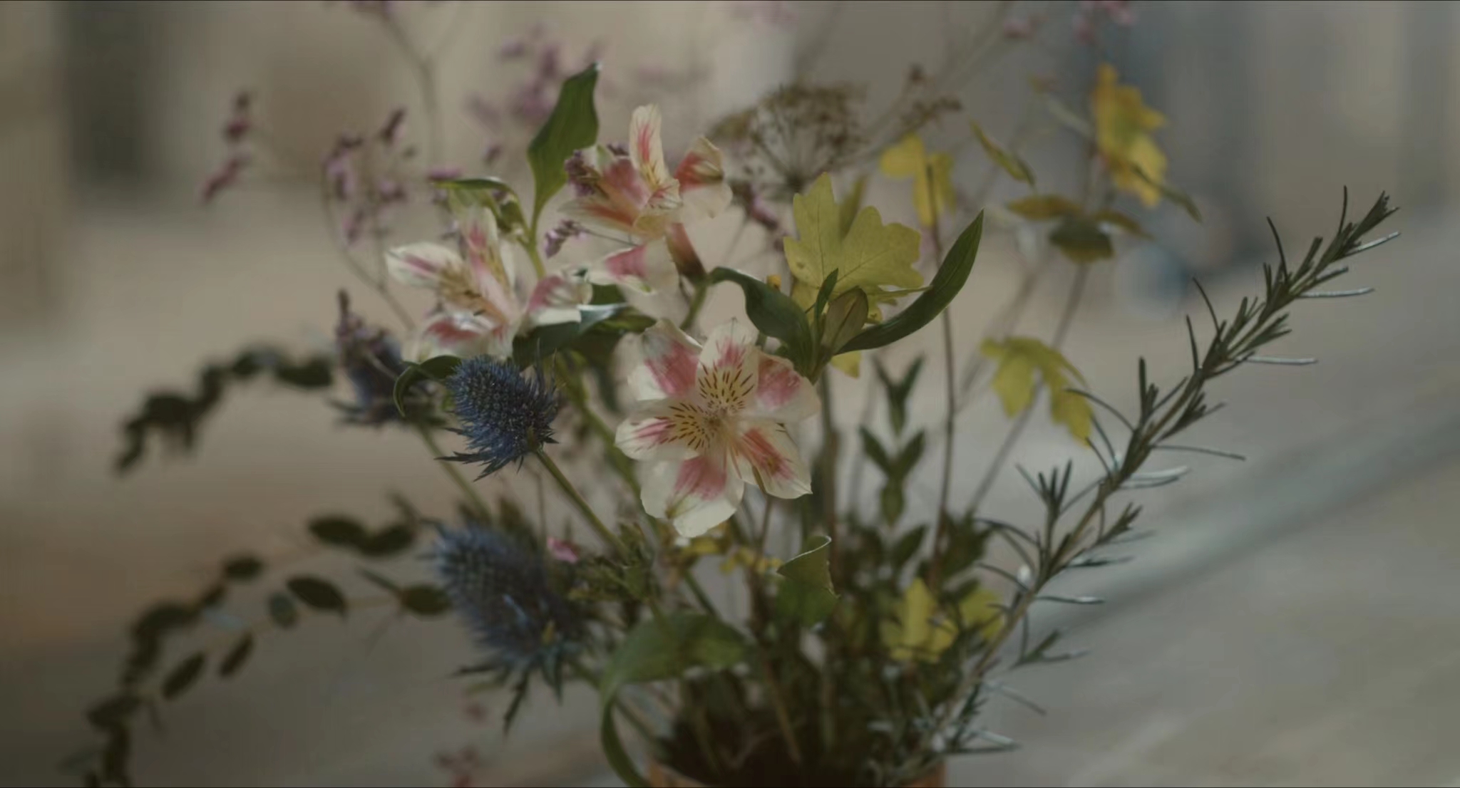 Manman慢慢的个人主页（封面预览） - 主页封面设置 - 站酷设计师Manman慢慢原创素材 - 站酷ZCOOL