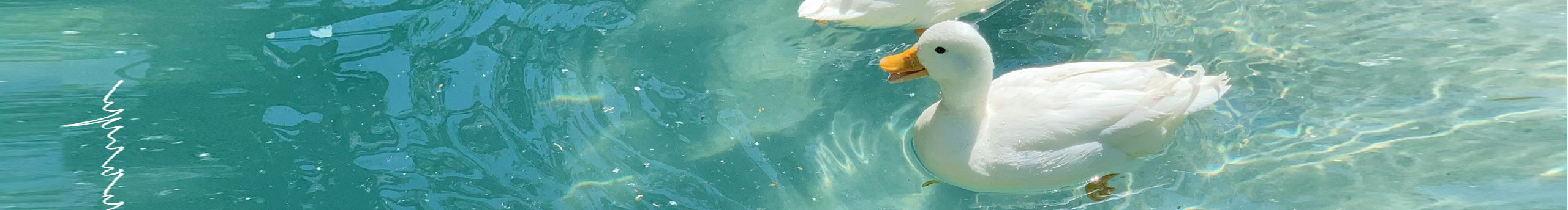 limintu的个人主页（封面预览） - 主页封面设置 - 站酷设计师limintu原创素材 - 站酷ZCOOL