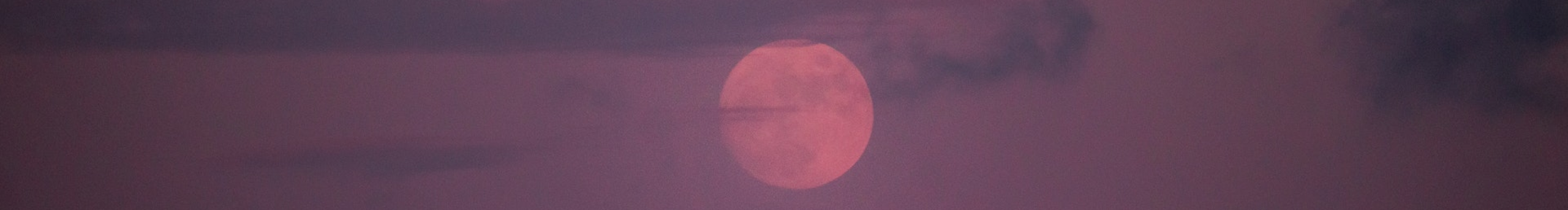 努力朝圣的个人主页（封面预览） - 主页封面设置 - 站酷设计师努力朝圣原创素材 - 站酷ZCOOL