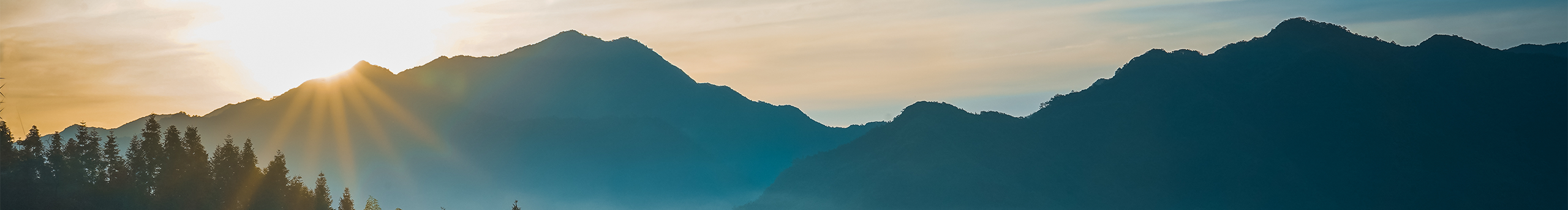 白棱镜的个人主页（封面预览） - 主页封面设置 - 站酷设计师白棱镜原创素材 - 站酷ZCOOL