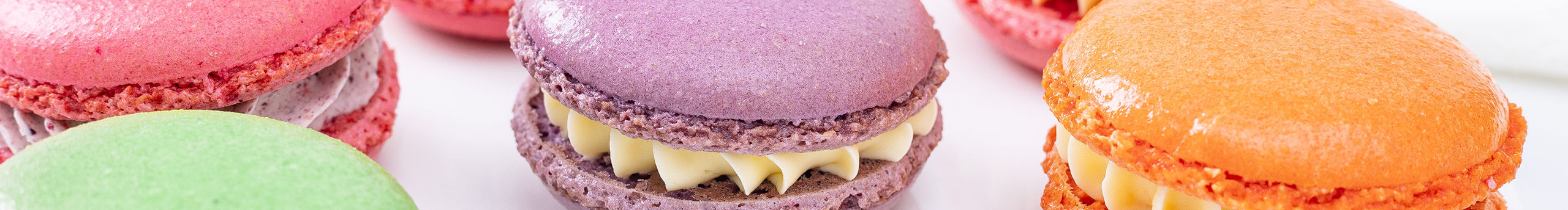 知觀攝影的個人主頁（封面預覽） - 主頁封面設置 - 站酷設計師知觀攝影原創(chuàng)素材 - 站酷ZCOOL