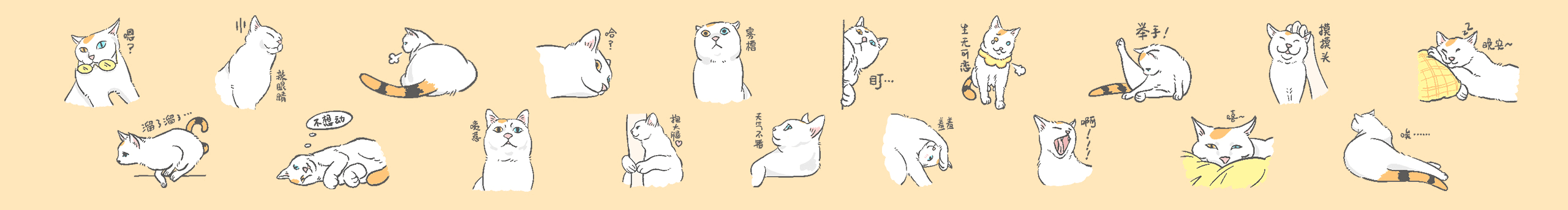 whale233的个人主页（封面预览） - 主页封面设置 - 站酷设计师whale233原创素材 - 站酷ZCOOL