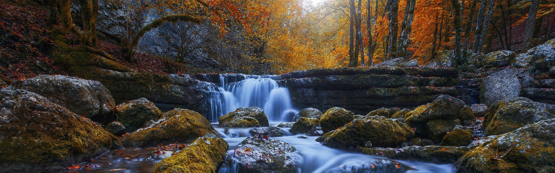 蘑菇頭小哥的個人主頁（封面預(yù)覽） - 主頁封面設(shè)置 - 站酷設(shè)計師蘑菇頭小哥原創(chuàng)素材 - 站酷ZCOOL