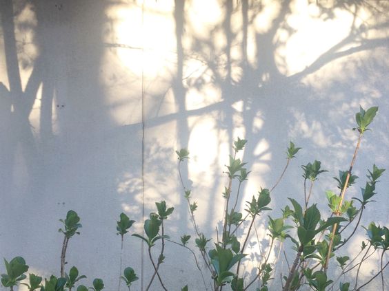 憤怒的格子的個人主頁（封面預(yù)覽） - 主頁封面設(shè)置 - 站酷設(shè)計師憤怒的格子原創(chuàng)素材 - 站酷ZCOOL